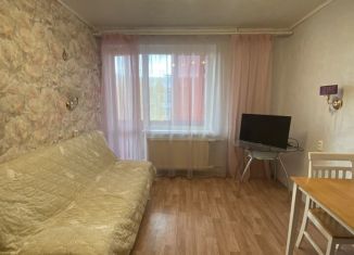 Продажа 1-ком. квартиры, 27 м2, Вологодская область, Городецкая улица, 8