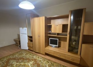 Сдается 2-ком. квартира, 46 м2, Новосибирск, улица Дуси Ковальчук, 258, улица Дуси Ковальчук