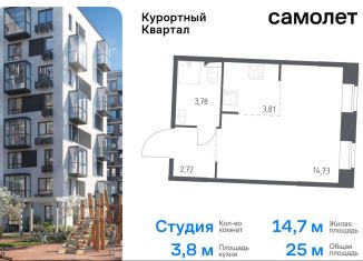 Продается квартира студия, 25 м2, посёлок Песочный