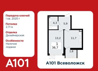 Продается 1-ком. квартира, 36.7 м2, Всеволожск, микрорайон Южный, 3.2