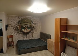 Аренда 1-ком. квартиры, 30 м2, Белгород, улица Шершнева