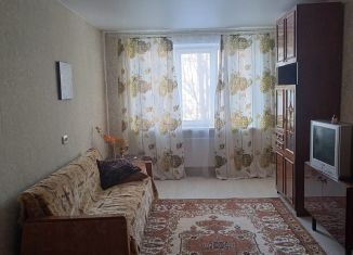 Сдается двухкомнатная квартира, 50 м2, Казань, улица Фатыха Амирхана, 43