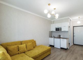 Аренда 1-ком. квартиры, 34 м2, Москва, улица Пестеля, 3, метро Бибирево