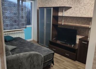 Сдаю 1-ком. квартиру, 30 м2, Псковская область, Гражданская улица, 21