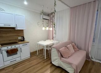 Сдается квартира студия, 30 м2, Краснодарский край, Анапское шоссе, 24к5