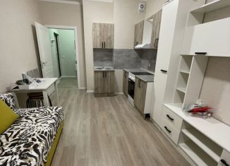 Квартира в аренду студия, 25 м2, Сертолово, улица Мира, 9к1