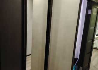 1-комнатная квартира в аренду, 30.1 м2, Калач, улица Красина, 9/2