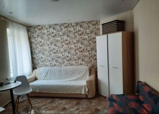 Сдается квартира студия, 20 м2, Ростов-на-Дону, Петровская улица, 43