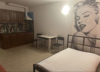 Аренда квартиры студии, 30 м2, Химки, улица Герцена, 4Б