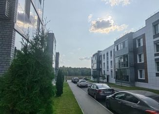 Продам 2-ком. квартиру, 44 м2, деревня Царёво, улица Петра Гаврилова, 13