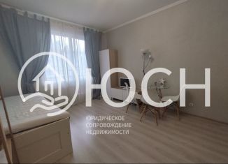 Продам квартиру студию, 24 м2, городской посёлок Янино-1, ЖК Ясно-Янино, Ясная улица, 9к1