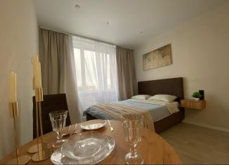 Сдаю квартиру студию, 25 м2, Новосибирск, улица Кирова, 113/2, Октябрьский район