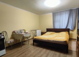 Квартира в аренду студия, 30 м2, Домодедово, Парковая улица, 19/12