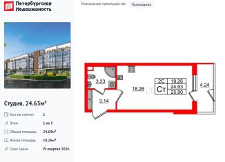 Продажа квартиры студии, 24.6 м2, Санкт-Петербург, Московский район