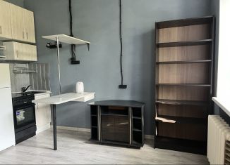 Продам квартиру студию, 21 м2, Нижний Новгород, улица Чкалова, 7