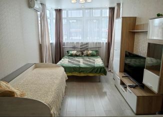 Квартира в аренду студия, 34 м2, Сочи, Дагомысский переулок, 18к1