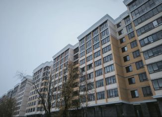 Продам 1-ком. квартиру, 36 м2, Санкт-Петербург, Михайловская улица, 51