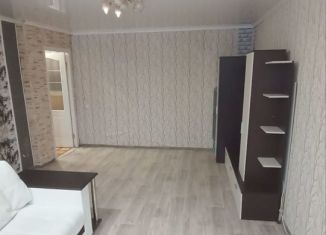 Аренда 2-ком. квартиры, 45 м2, Удмуртия, Пушкинская улица, 250