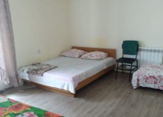 Сдача в аренду 1-ком. квартиры, 30 м2, Кисловодск, улица Гагарина, 70