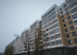 Продаю квартиру студию, 24 м2, Санкт-Петербург, Михайловская улица, 51