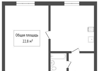 Продам двухкомнатную квартиру, 22 м2, Томск, Тверская улица, 68