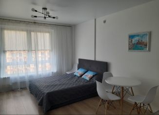 Квартира в аренду студия, 26 м2, Москва, улица Михайлова, 30Ак6