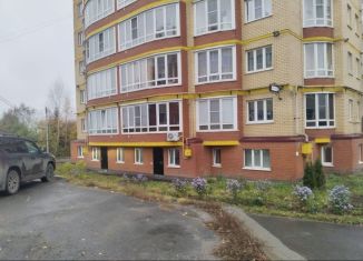 Помещение свободного назначения на продажу, 250 м2, деревня Чергаши, Пригородная улица, 26