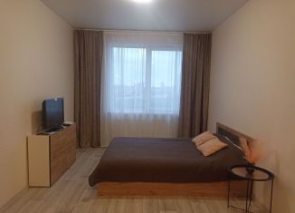 Сдаю в аренду 2-ком. квартиру, 40 м2, Пермь, Серебристая улица, 16