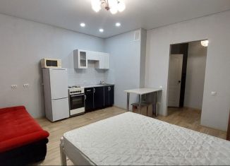 Сдам в аренду квартиру студию, 26.4 м2, Хакасия, улица Комарова, 24Б