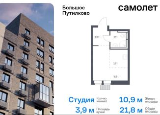 Продаю квартиру студию, 21.8 м2, деревня Путилково