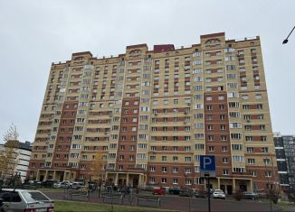 1-ком. квартира в аренду, 42 м2, Щёлково, микрорайон Финский, 7