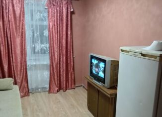 Аренда комнаты, 12 м2, Екатеринбург, Чкаловский район, улица Черняховского, 31