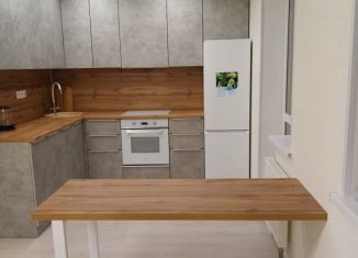 Сдам в аренду квартиру студию, 29 м2, Старая Купавна, улица Чехова, 4