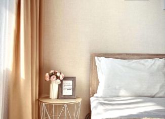 Квартира в аренду студия, 30 м2, Набережные Челны, 65-й комплекс, 20