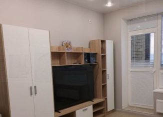 Продается квартира студия, 12.6 м2, Москва, Ткацкая улица, 43