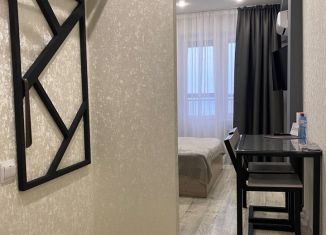 Сдается квартира студия, 20 м2, Набережные Челны, улица Шамиля Усманова, 3Б