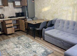 Сдам в аренду 2-ком. квартиру, 40 м2, посёлок городского типа Дагомыс, Батумское шоссе, 32к1