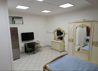 Квартира в аренду студия, 30 м2, Москва, Щёлковское шоссе, 100к5, ВАО