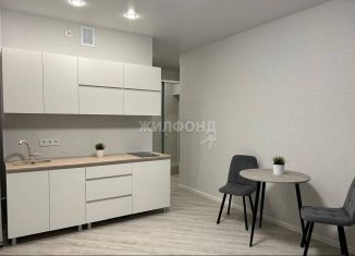 Продам квартиру студию, 29 м2, Новосибирск, Гурьевская улица, 177/1, метро Берёзовая роща