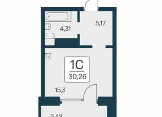 Продается квартира студия, 30.3 м2, Рубцовск, Ипподромская улица, 2