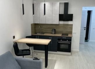 Сдам в аренду квартиру студию, 23.7 м2, Республика Башкортостан, улица Игоря Талькова, 7