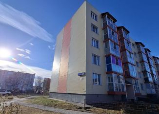 Продажа 2-комнатной квартиры, 54.5 м2, Елизово, улица Гришечко