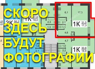 Продам однокомнатную квартиру, 31.5 м2, Нижний Новгород, Гороховецкая улица, 58А, метро Двигатель Революции