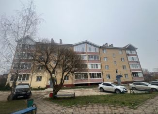 Продаю 1-комнатную квартиру, 42 м2, деревня Киселёвка, деревня Киселёвка, 15А