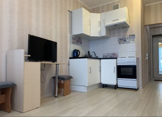 Продам квартиру студию, 25.7 м2, Иваново, улица Кузнецова, 67Бк2, ЖК Новые Черёмушки