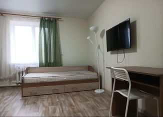 1-ком. квартира в аренду, 30 м2, Ставрополь, улица Ашихина, 70А