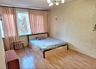 Продам 1-комнатную квартиру, 30.6 м2, Санкт-Петербург, улица Солдата Корзуна, 42, метро Проспект Ветеранов