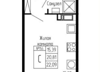 Продаю квартиру студию, 25.1 м2, посёлок Шушары, Старорусский проспект, 13к1