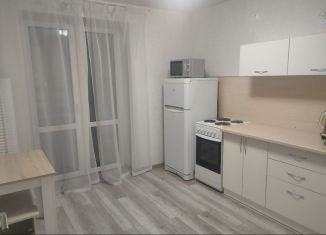 Сдаю в аренду 1-ком. квартиру, 40 м2, Ижевск, улица Коммунаров, 327