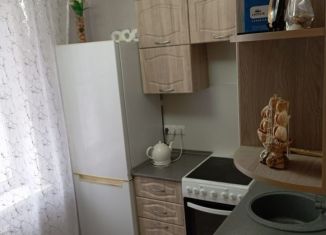 Продажа однокомнатной квартиры, 33 м2, Барнаул, улица Глушкова, 13